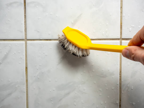 Best Black Mold Removal  in Stanton, KY