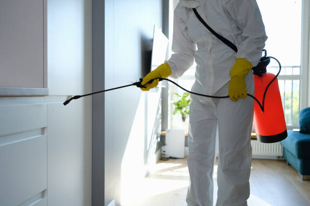 Best Fast Mold Removal  in Stanton, KY