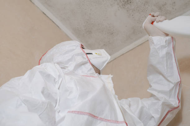 Best Mold Removal Process  in Stanton, KY